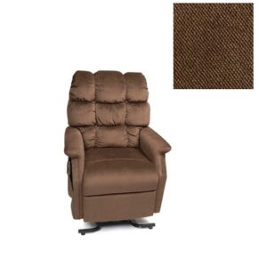 SILLON ELEVADOR DE PACIENTES 3 POSICIONES MODELO CAMBRIDGE GRANDE